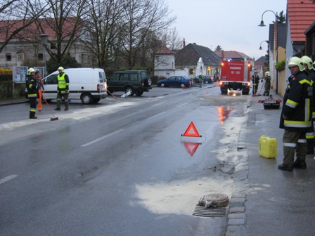 te_neunkirchner_strae_12042010.jpg