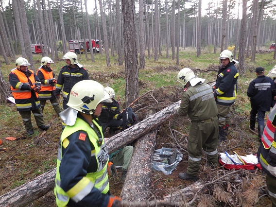 staffeluebung_2015_18042015.jpg